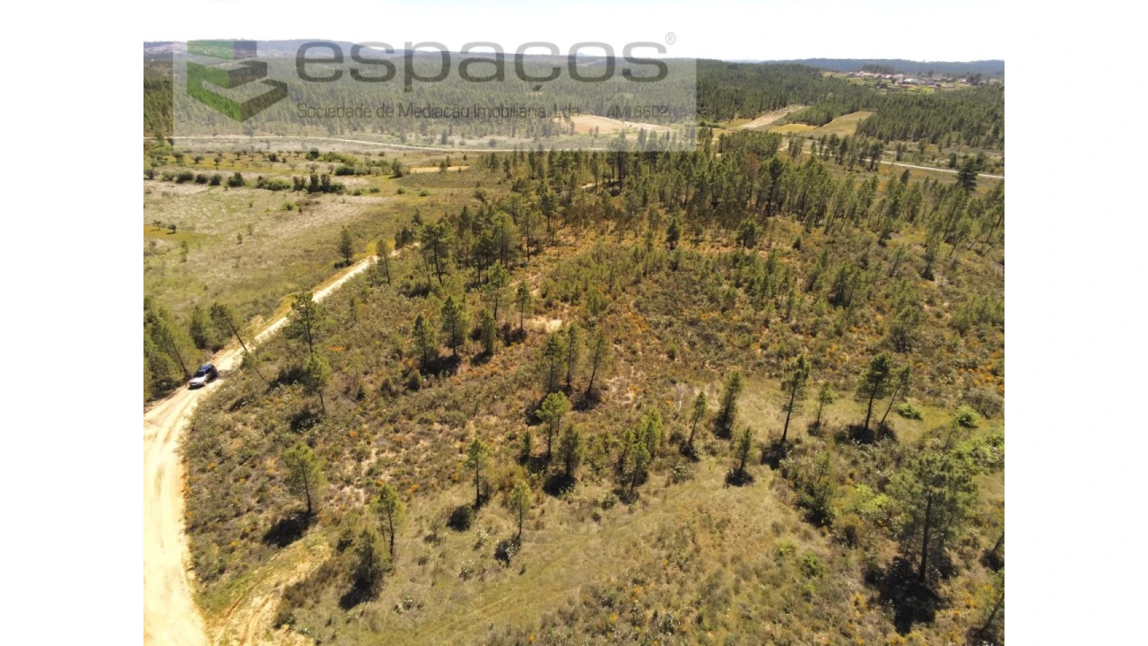 Terreno Agricola ou Rústico para Venda em Sarzedas Foto 5