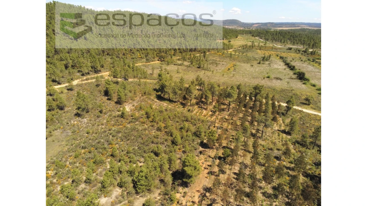 Terreno Agricola ou Rústico para Venda em Sarzedas Foto 6