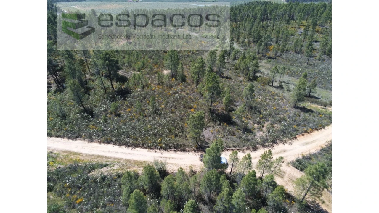 Terreno Agricola ou Rústico para Venda em Sarzedas Foto 8