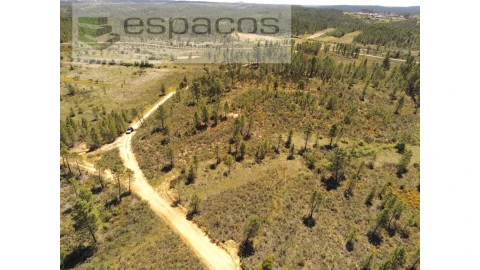 Terreno Agricola ou Rústico para Venda em Sarzedas