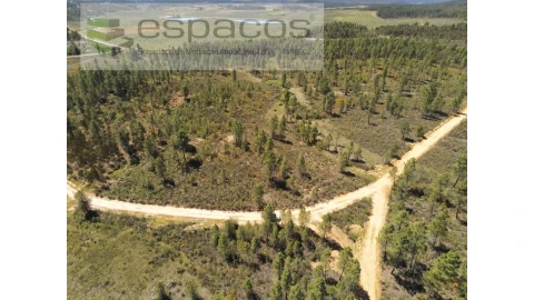 Terreno Agricola ou Rústico para Venda em Sarzedas