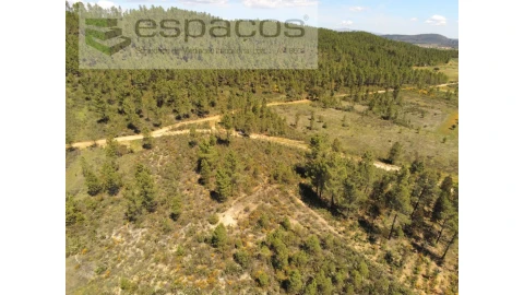 Terreno Agricola ou Rústico para Venda em Sarzedas