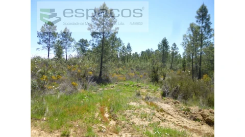 Terreno Agricola ou Rústico para Venda em Sarzedas