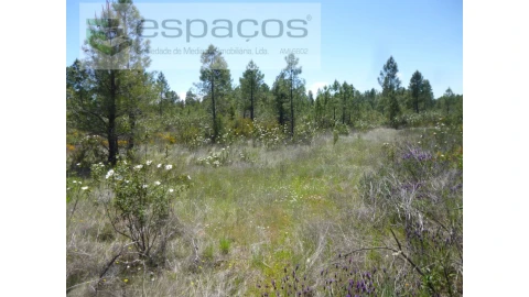 Terreno Agricola ou Rústico para Venda em Sarzedas