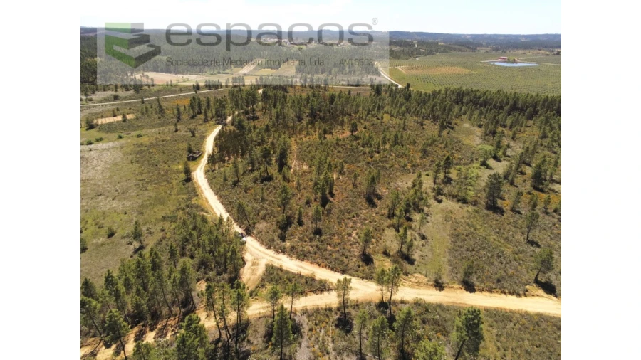Terreno Agricola ou Rústico para Venda em Sarzedas Foto 3