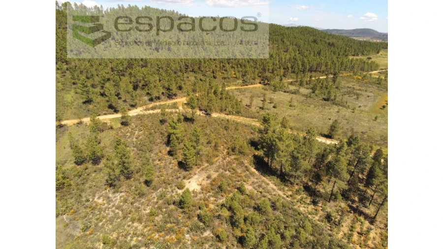 Terreno Agricola ou Rústico para Venda em Sarzedas Foto 7