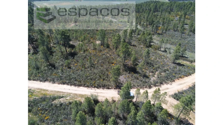 Terreno Agricola ou Rústico para Venda em Sarzedas Foto 8