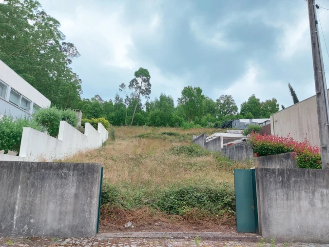 Terreno para Venda em Landim Foto 5