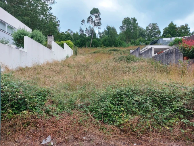 Terreno para Venda em Landim Foto 6
