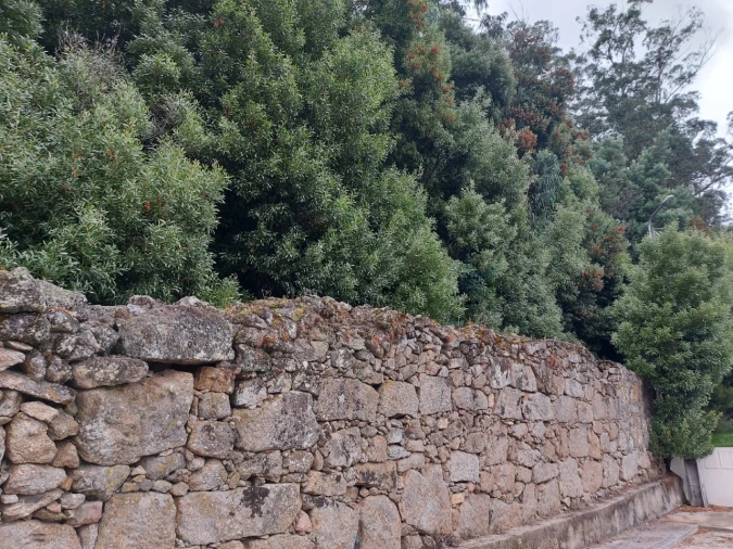 Terreno para Venda em Landim Foto 7