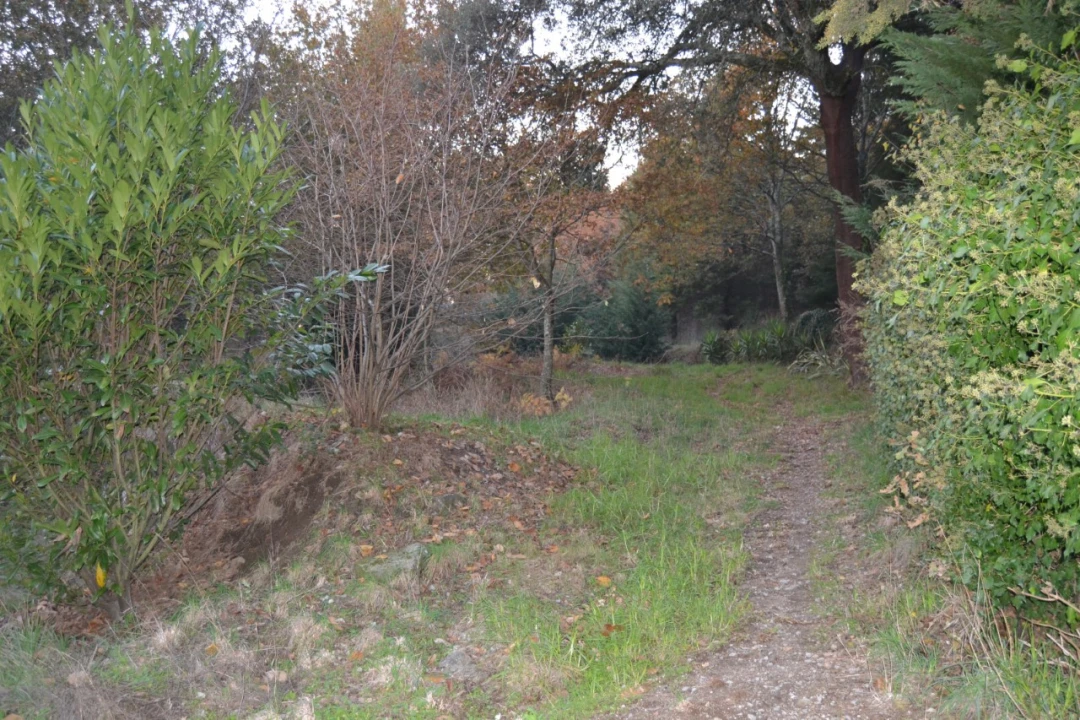 Moradia T3 para Venda em Valpedre Foto 44