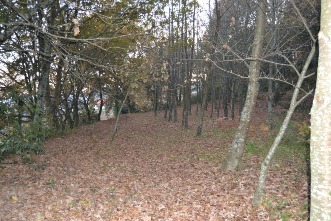 Moradia T3 para Venda em Valpedre Foto 45