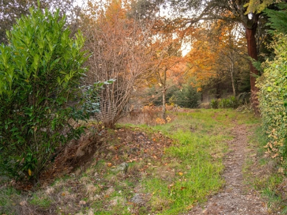 Moradia T3 para Venda em Valpedre Foto 43
