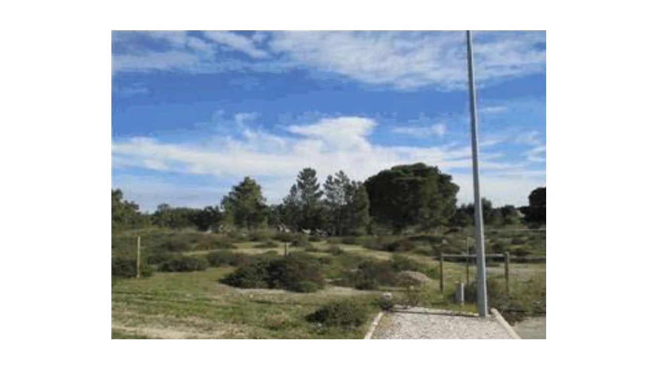 Terreno Agricola ou Rústico para Venda em Alhos Vedros Foto 2