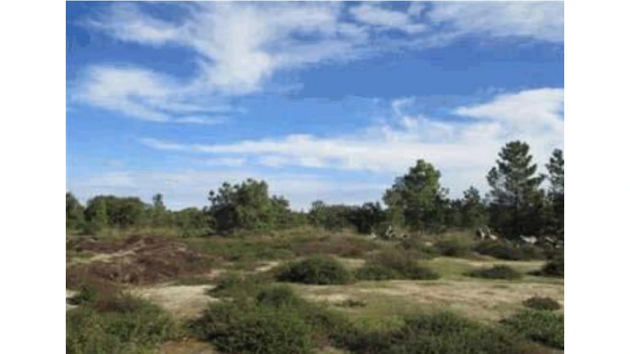 Terreno Agricola ou Rústico para Venda em Alhos Vedros Foto 3