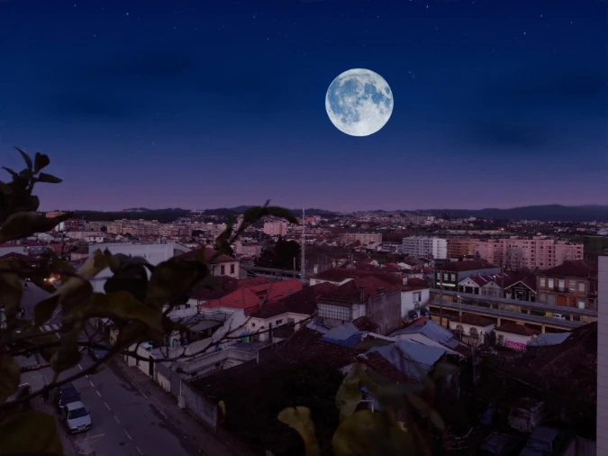 Apartamento T4 para Venda em Rio Tinto Foto 25