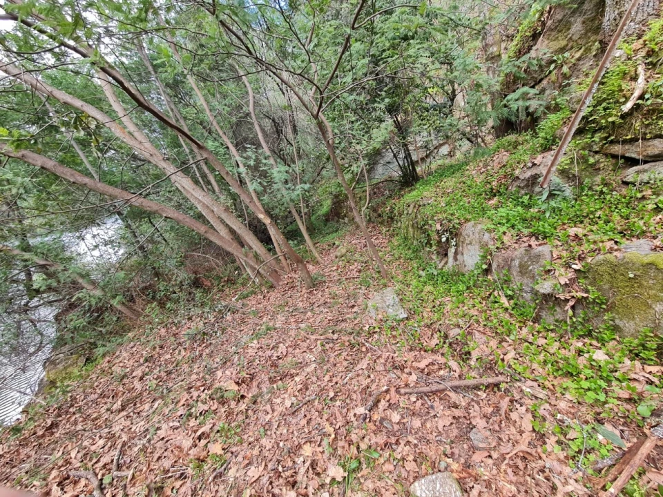 Terreno para Venda em Rio de Moinhos Foto 8