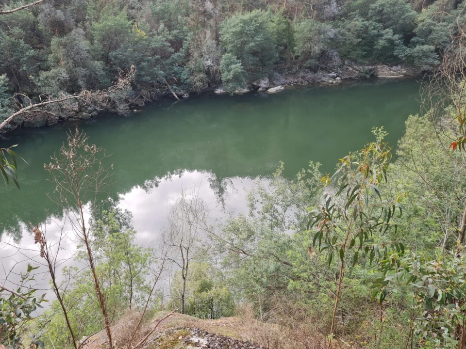 Terreno para Venda em Rio de Moinhos Foto 11