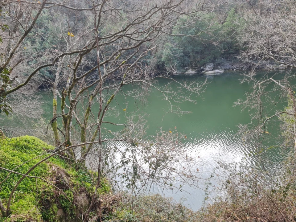Terreno para Venda em Rio de Moinhos Foto 12