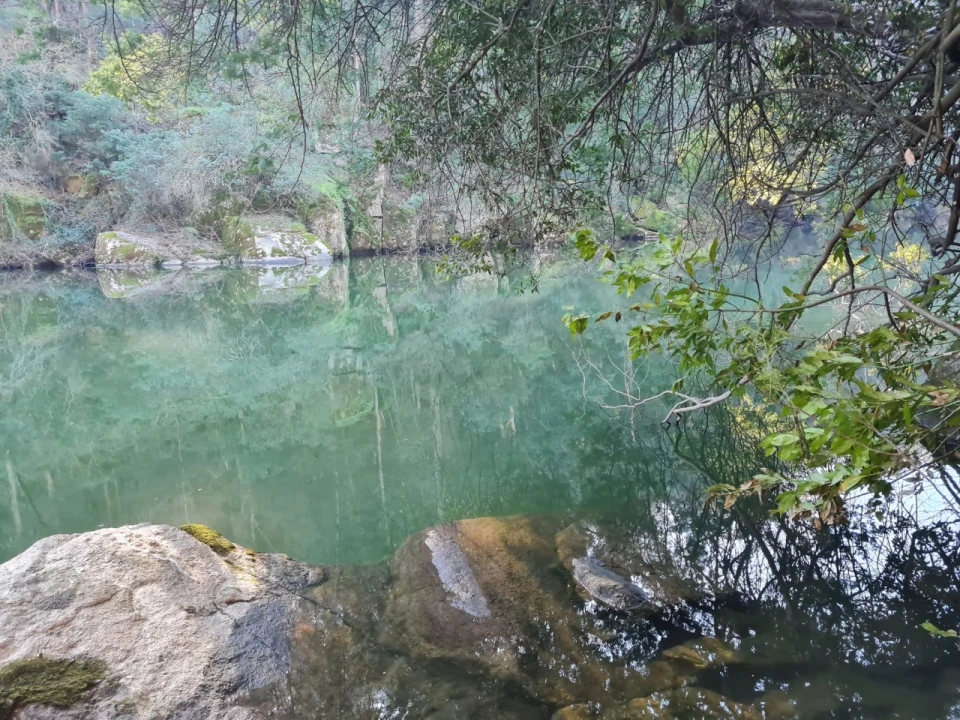 Terreno para Venda em Rio de Moinhos Foto 18