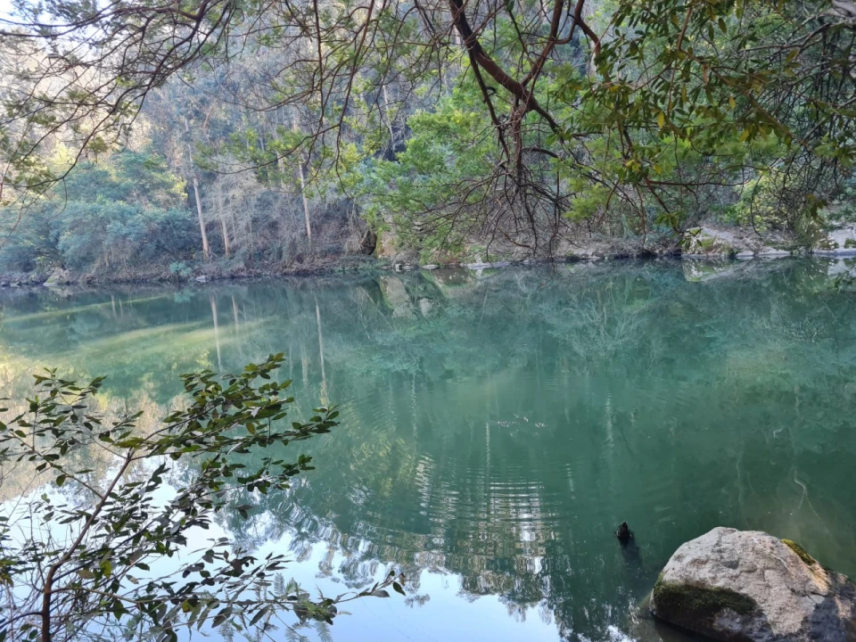 Terreno para Venda em Rio de Moinhos Foto 19