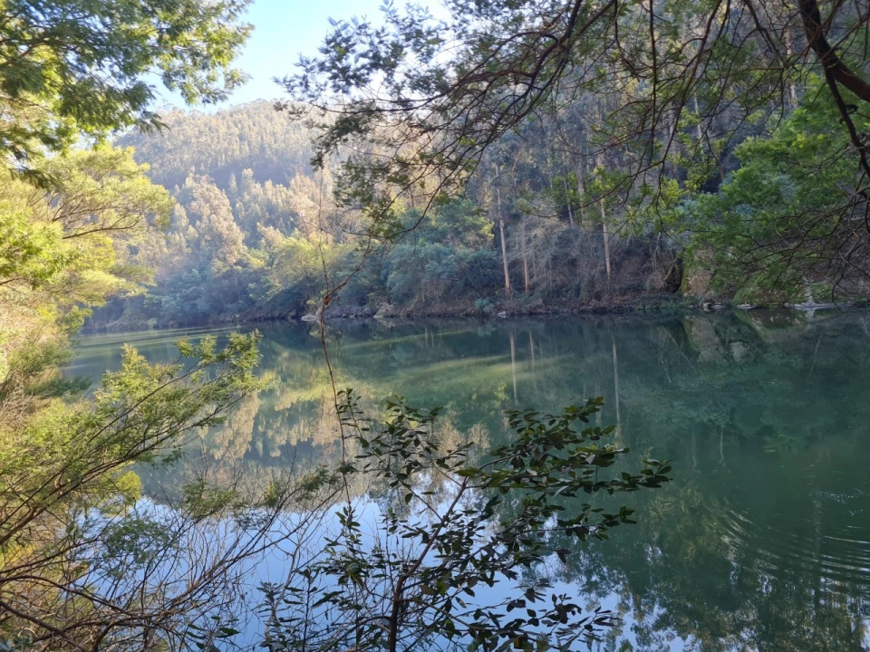 Terreno para Venda em Rio de Moinhos Foto 20