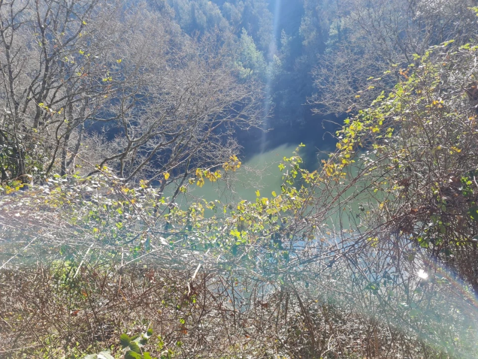 Terreno para Venda em Rio de Moinhos Foto 21