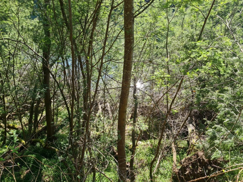 Terreno para Venda em Rio de Moinhos Foto 22