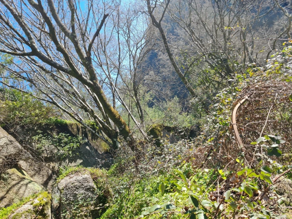 Terreno para Venda em Rio de Moinhos Foto 23