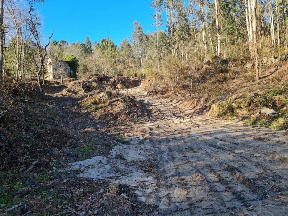 Terreno para Venda em Rio de Moinhos Foto 28