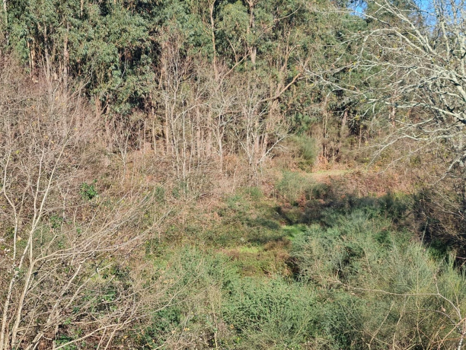 Terreno para Venda em Rio de Moinhos Foto 31