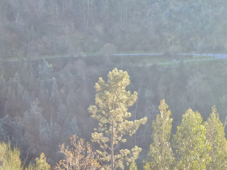Terreno para Venda em Rio de Moinhos Foto 32