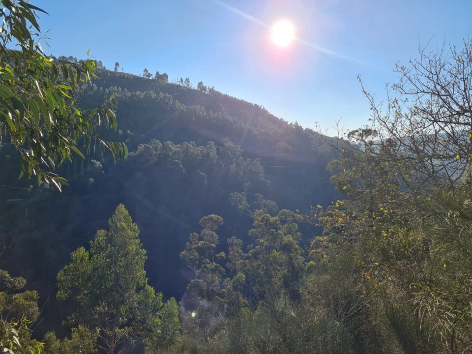 Terreno para Venda em Rio de Moinhos Foto 36