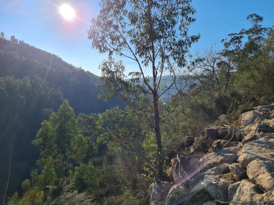 Terreno para Venda em Rio de Moinhos Foto 40
