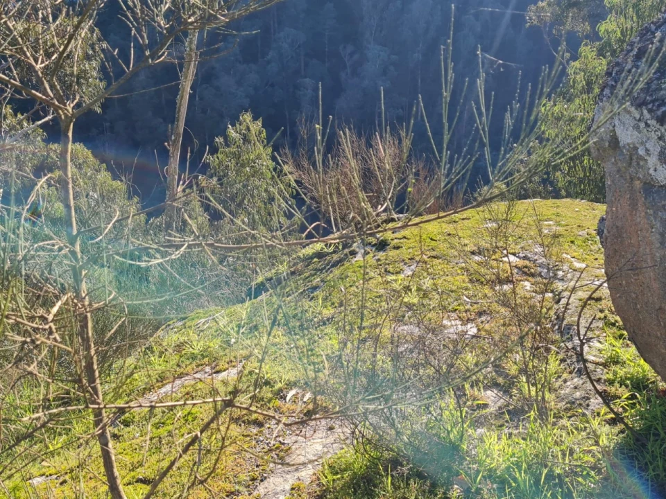 Terreno para Venda em Rio de Moinhos Foto 42
