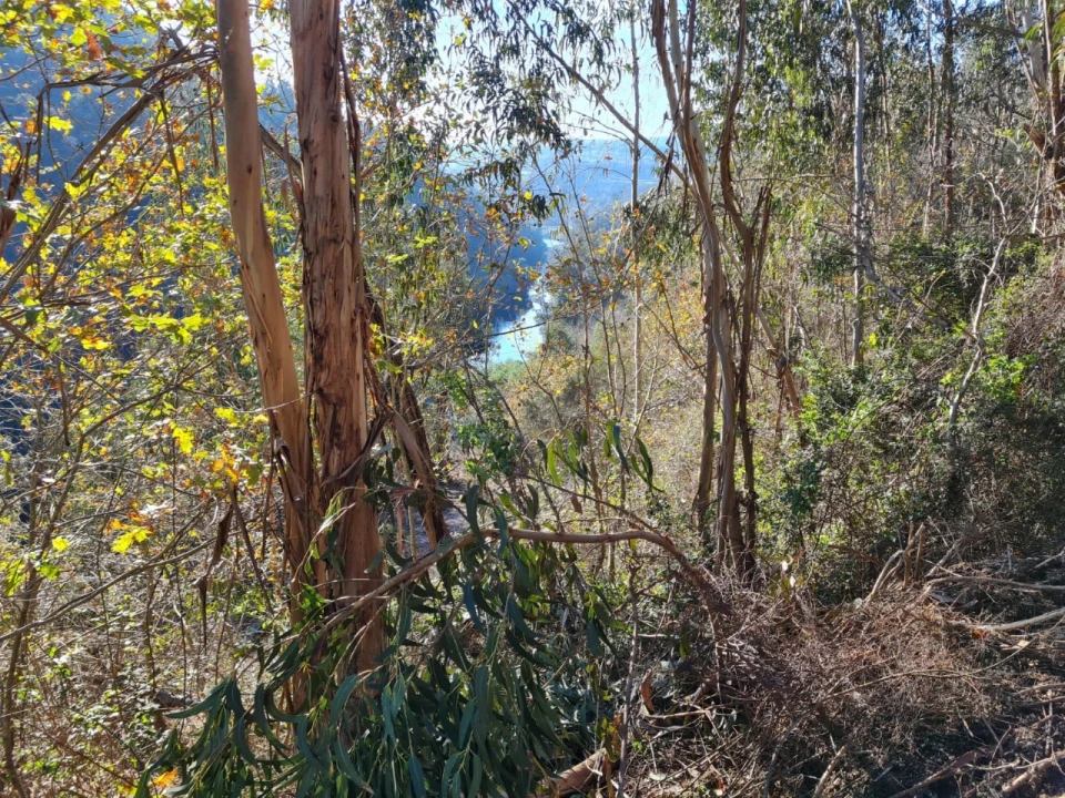 Terreno para Venda em Rio de Moinhos Foto 44