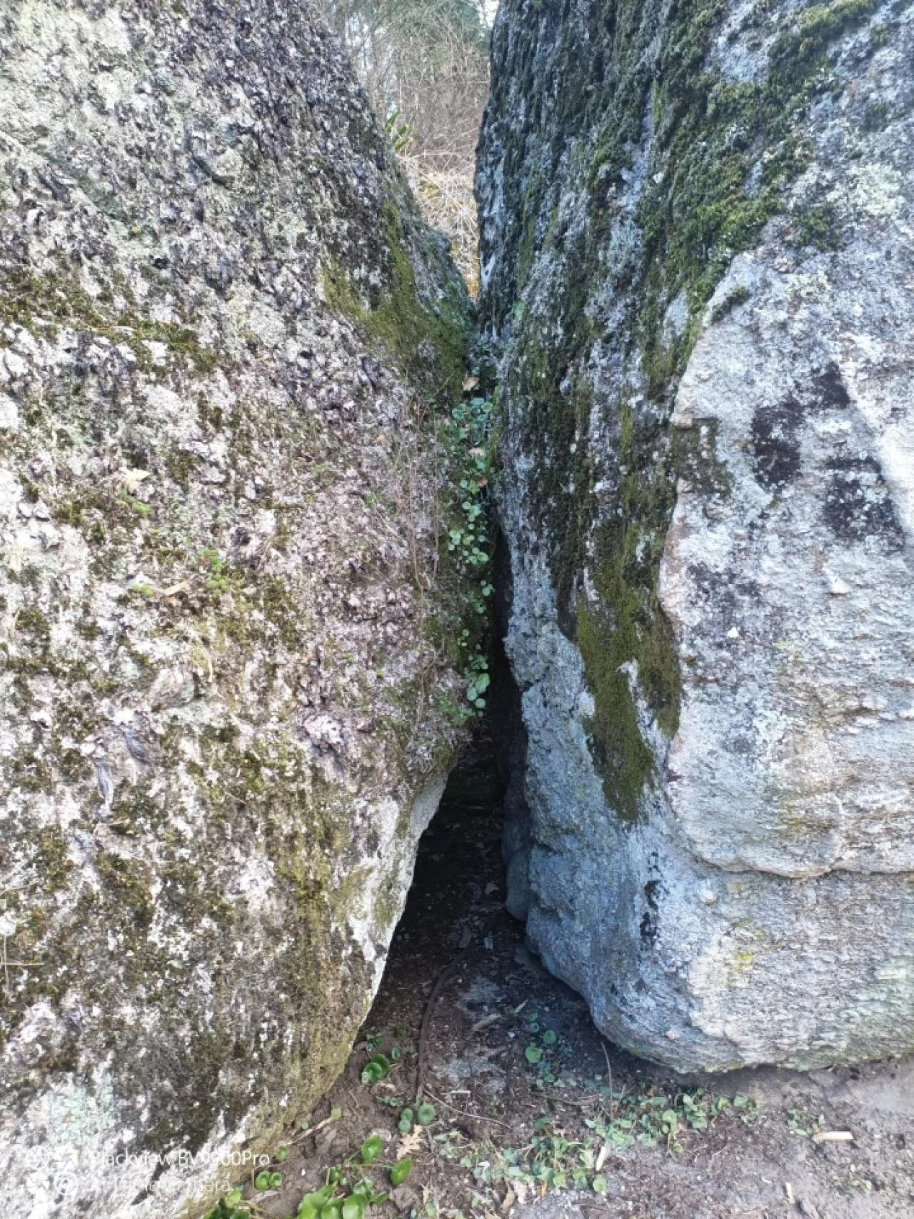 Terreno para Venda em Rio de Moinhos Foto 49