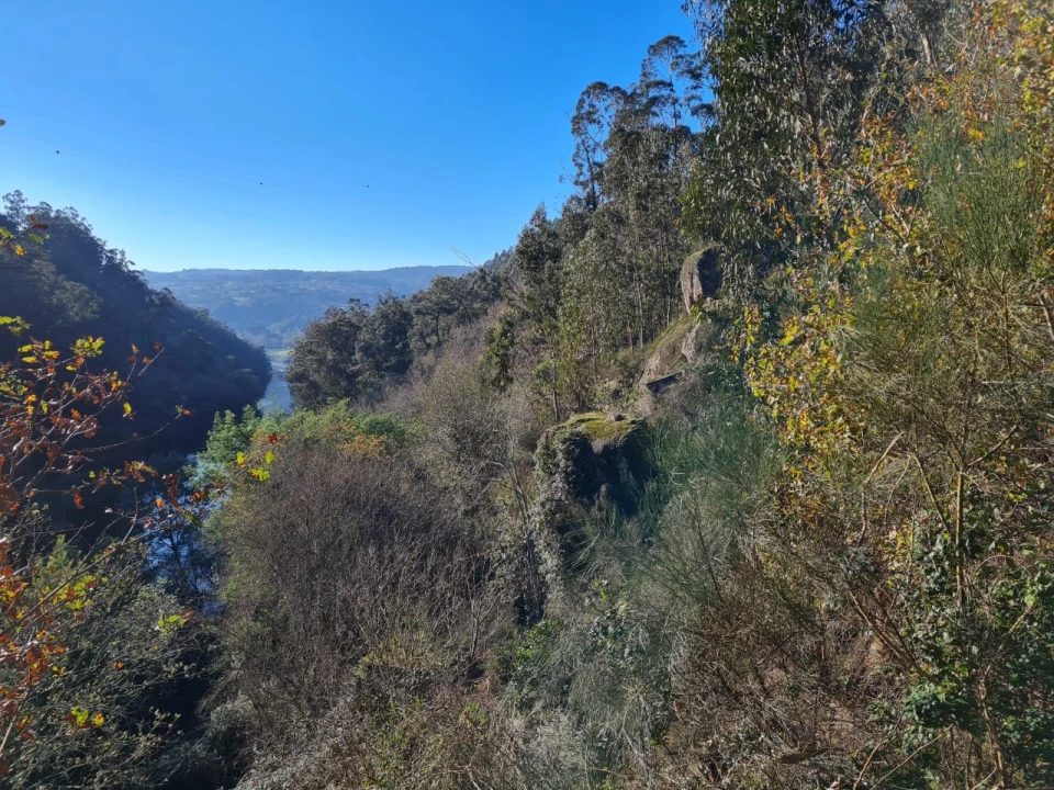 Terreno para Venda em Rio de Moinhos Foto 50