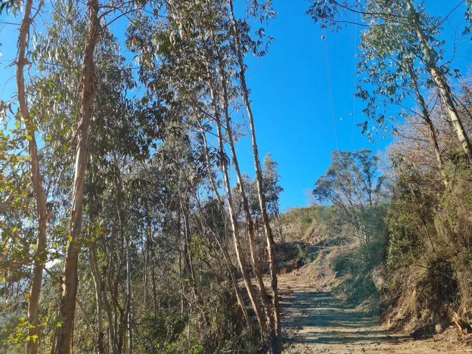 Terreno para Venda em Rio de Moinhos Foto 52