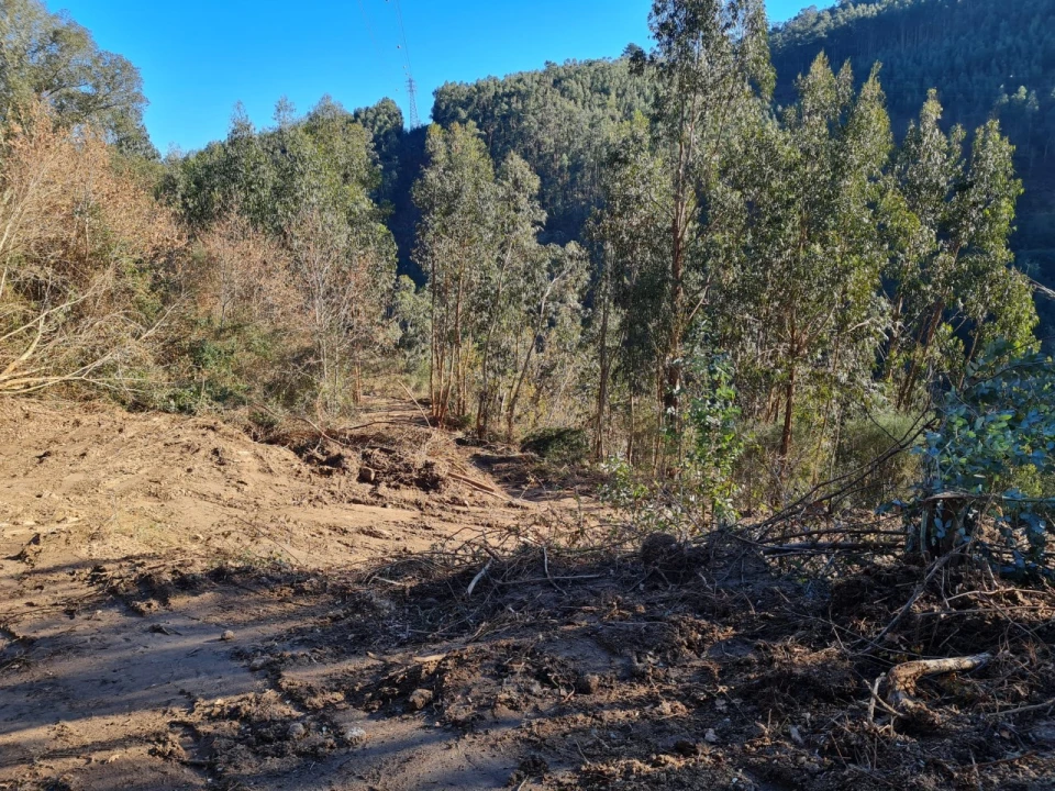 Terreno para Venda em Rio de Moinhos Foto 55