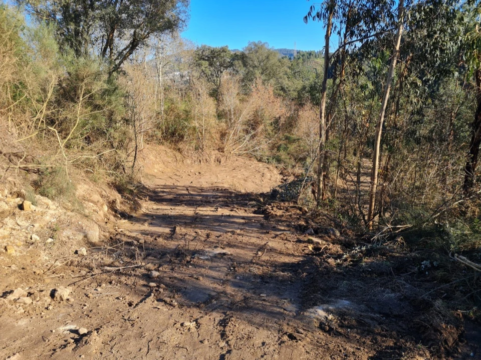 Terreno para Venda em Rio de Moinhos Foto 56