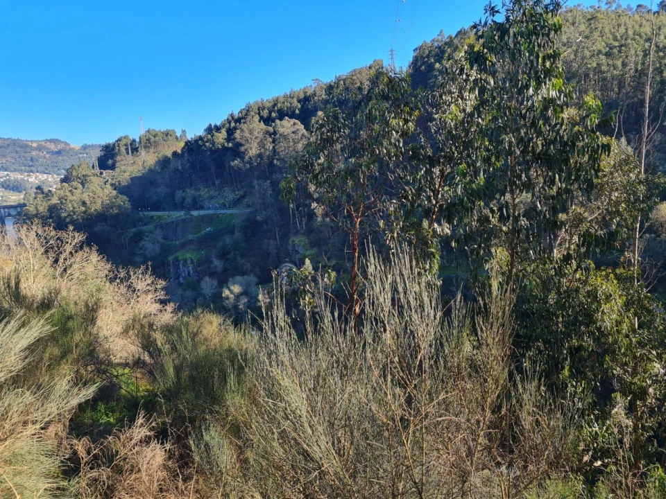 Terreno para Venda em Rio de Moinhos Foto 59