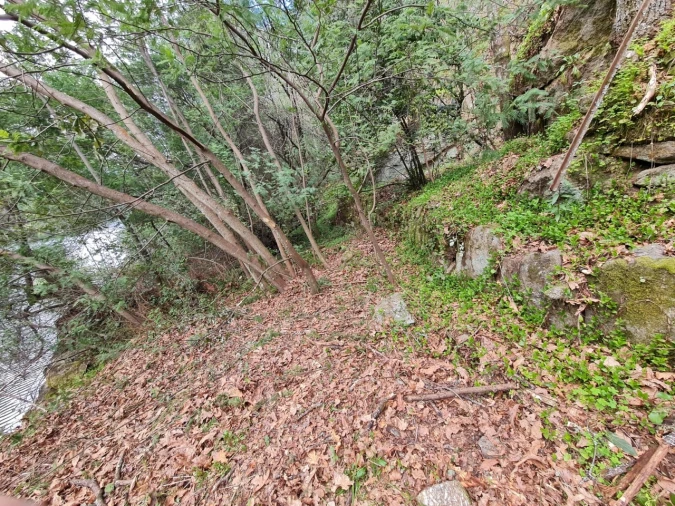 Terreno para Venda em Rio de Moinhos Foto 8