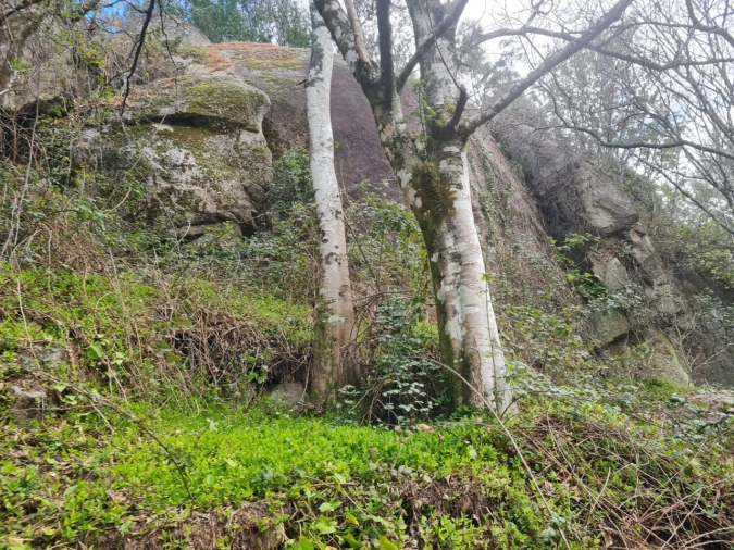 Terreno para Venda em Rio de Moinhos Foto 15