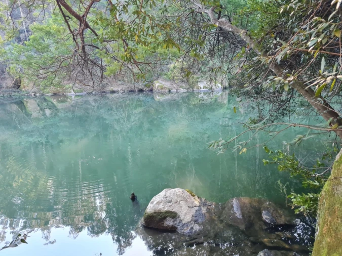 Terreno para Venda em Rio de Moinhos Foto 17