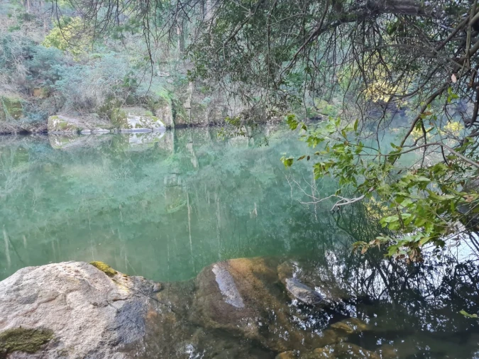 Terreno para Venda em Rio de Moinhos Foto 18