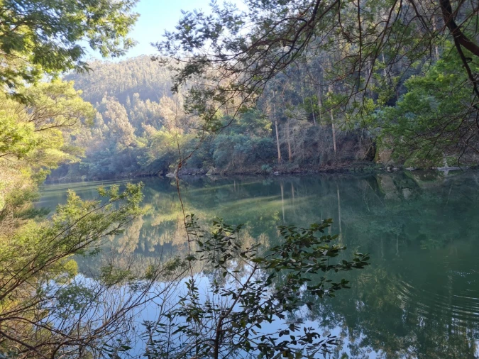 Terreno para Venda em Rio de Moinhos Foto 20