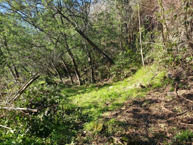 Terreno para Venda em Rio de Moinhos Foto 24