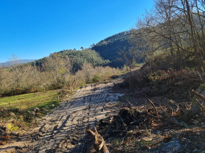 Terreno para Venda em Rio de Moinhos Foto 26
