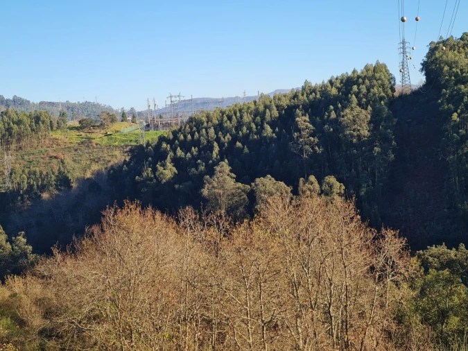 Terreno para Venda em Rio de Moinhos Foto 29